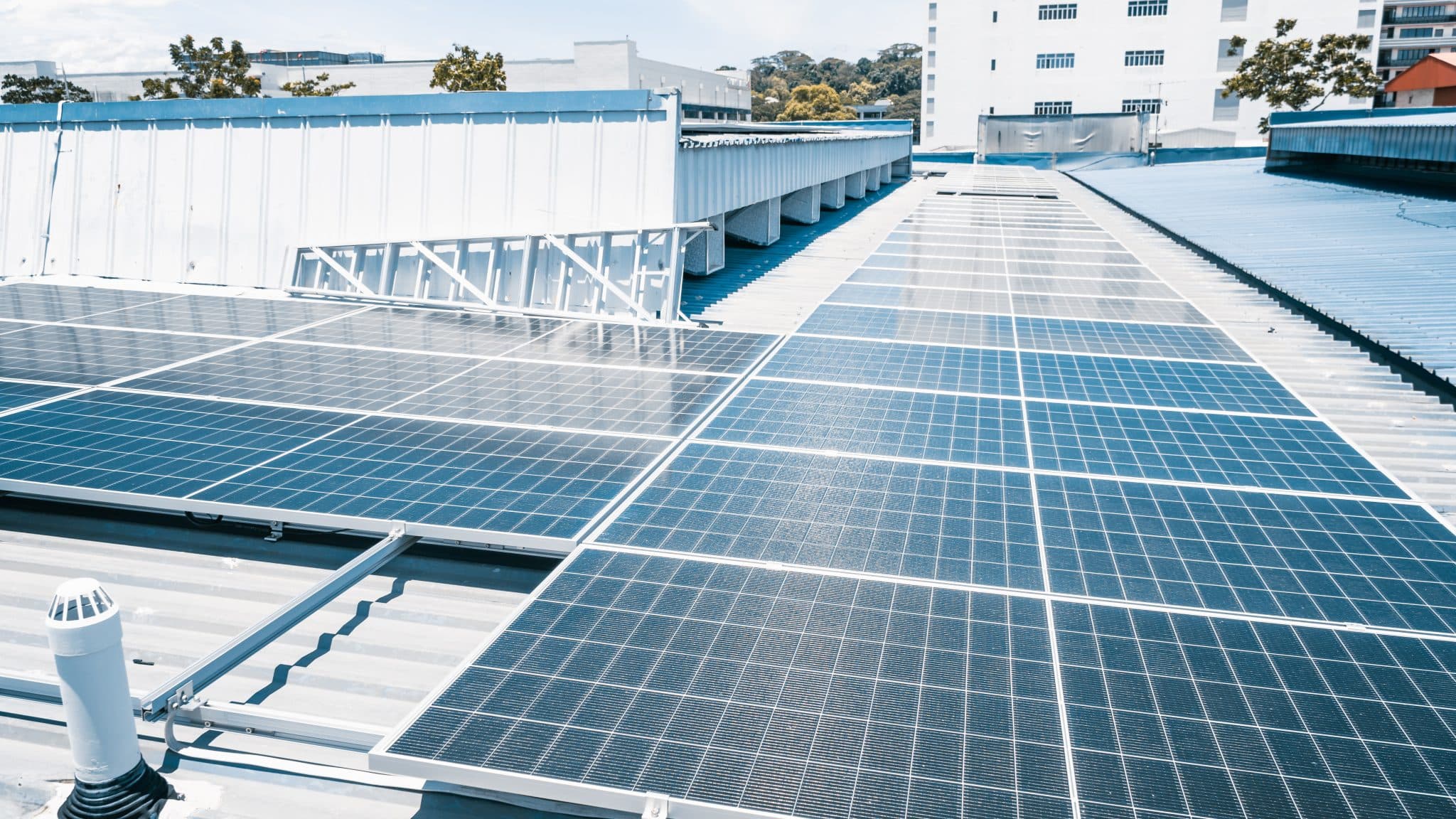 Alliance 21’s green leap: Sustainable logistics solutions with solar energy and electric fleets